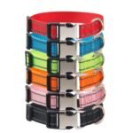 Customised Pet Collar