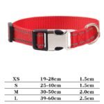 Customised Pet Collar - Image 3