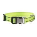 Customised Pet Collar - Image 9