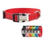 Customised Pet Collar - Image 4