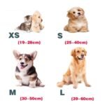 Customised Pet Collar - Image 2