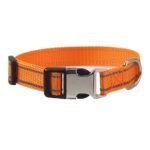 Customised Pet Collar - Image 8