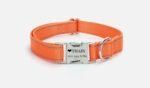 Customised Pet Collar - Image 10