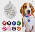 Personalized Paw Print Pet ID Tag, Stainless Steel, Anti-Lost - Image 9