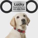 Dog Cat ID Tag for Collar Engraved Anti-lost Pet ID Tags Personalized Name plate