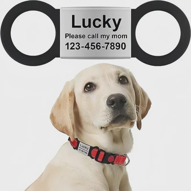 il_fullxfull.7745545707_hv1g.jpg Dog Cat ID Tag for Collar Engraved Anti-lost Pet ID Tags Personalized Name plate - Image 1