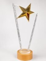 Customised Crystal Star Award Appreciation Plaque Employee Recognition Awards - Image 3