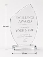 Personalized Appreciation Award Plaque Acrylic Recognition Awards Sports Gift Trophy - Image 2