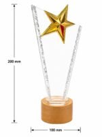 Customised Crystal Star Award Appreciation Plaque Employee Recognition Awards - Image 2